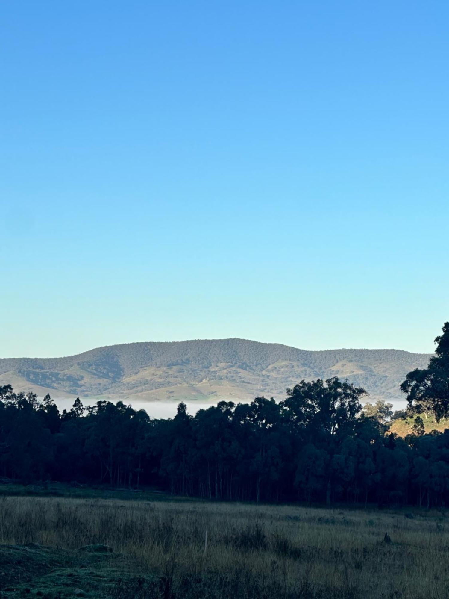 Brigadoon Farm Stays Mudgee Upper Botoblar Exterior foto